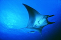   Raja ampat Misool eco resort magic mountain just good luck cheers old ma  